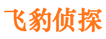 江夏市婚姻调查